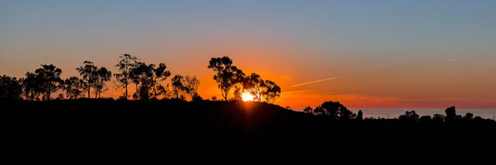 A beautiful Sunset into the Pacific Ocean behind Eucalyptus Trees and hiking trails in this coastal southern California panorama
