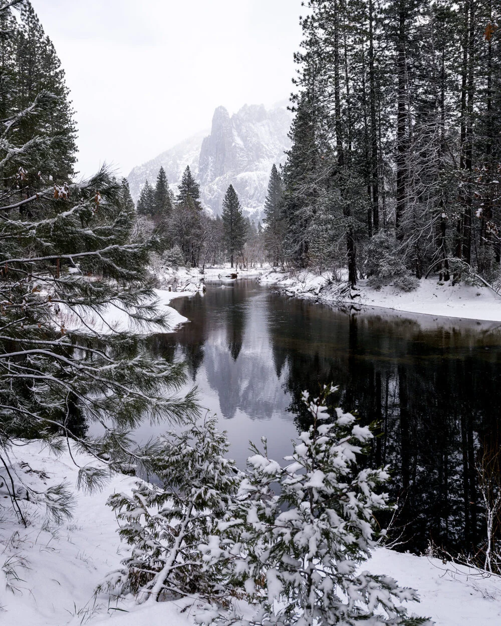 A winter storm brings silence to Yosemite Valley's Merced River, mountains and Forests, revealing the beauty of nature in winter