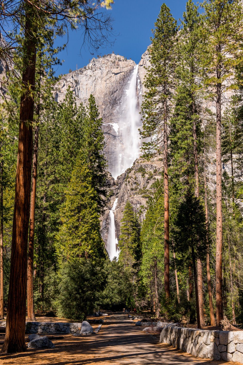 Yosemite Falls, here viewed from Yosemite Valley, is one of many world-famous waterfalls in Yosemite National Park