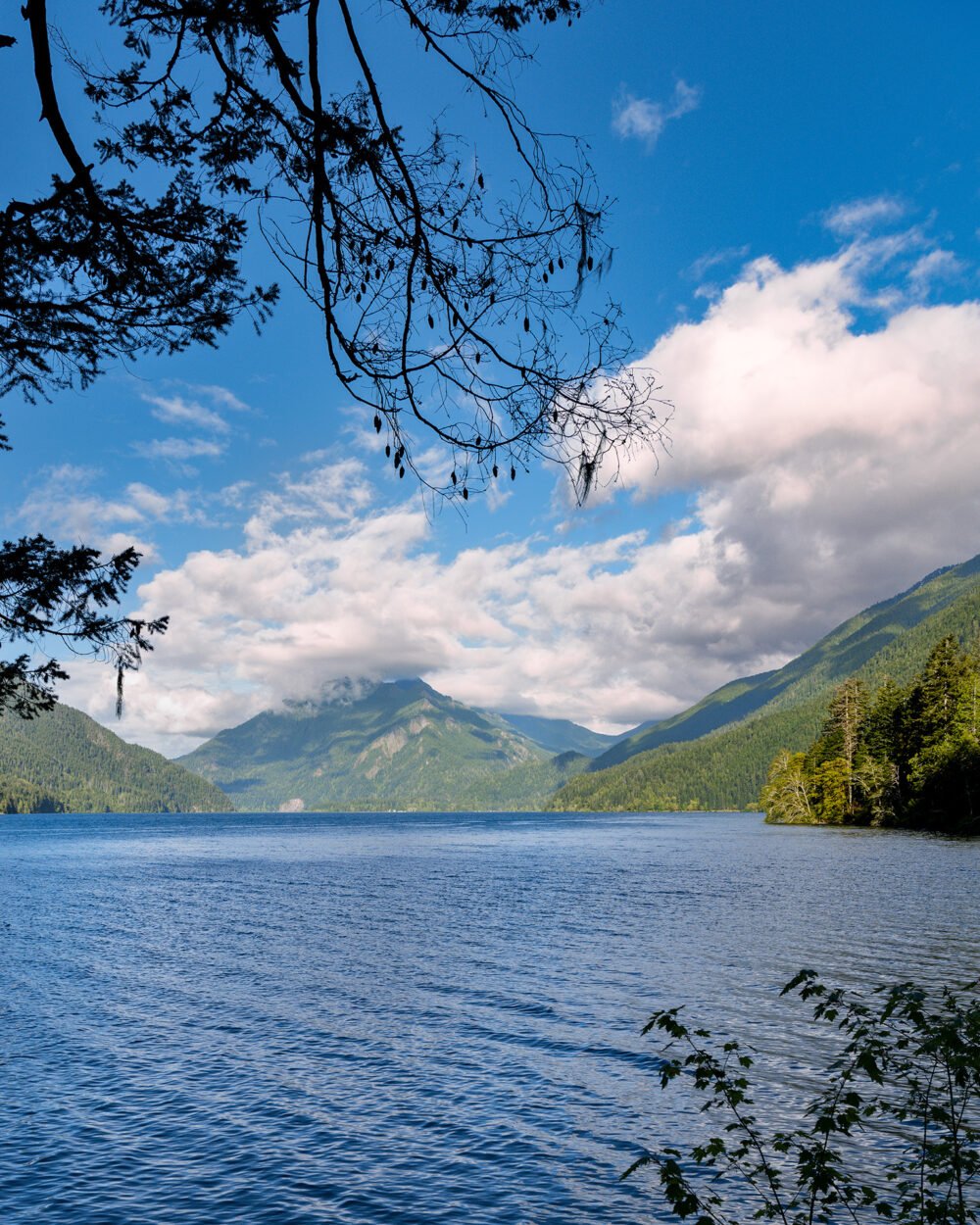 Lake Crescent is nestled in Olympic National Park's mountains