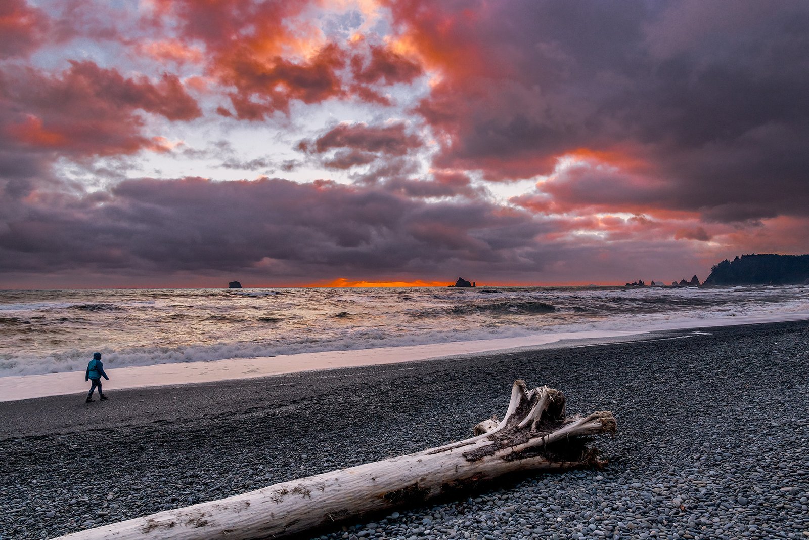 A man walks past a driftwood on Rialto Beach on the Washington Coast during a dramatic and colorful Sunset