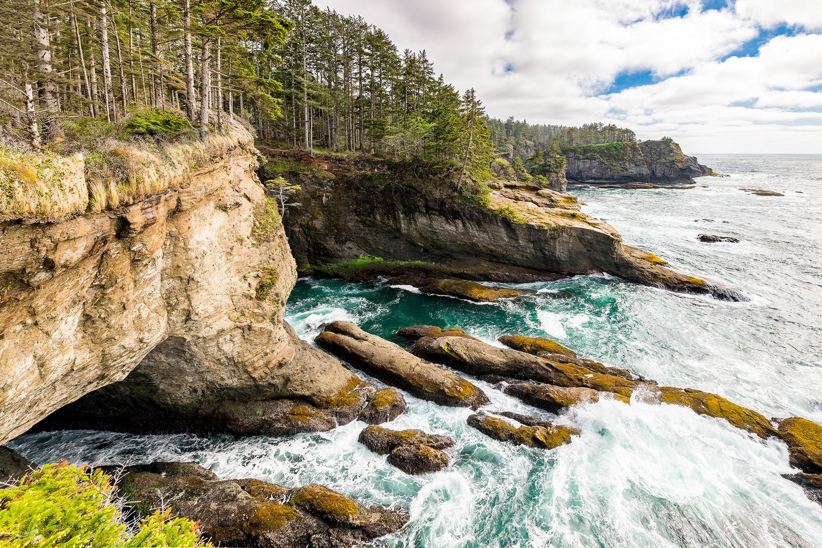 The awe-inspiring forest covered Pacific Coast at Cape Flattery in the state of Washington