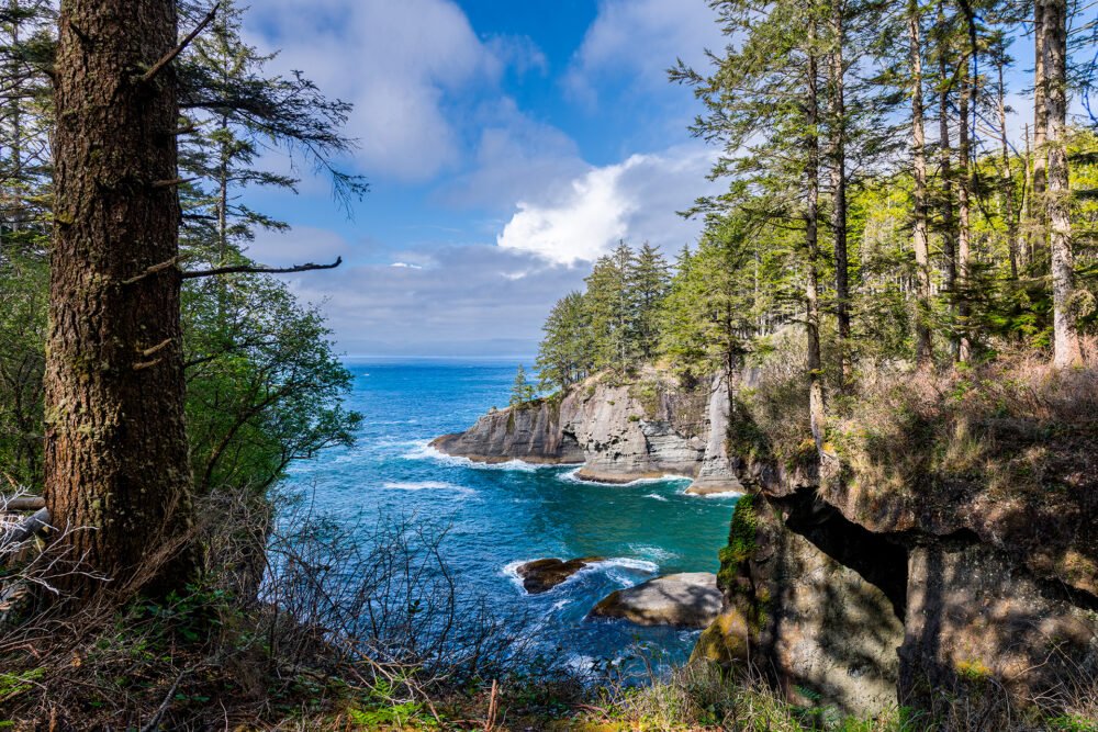Dramatic Pacific Coast covered in forests at Cape Flattery in the state of Washington