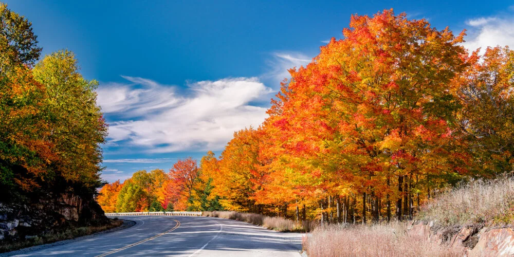 Brightly colored trees filled with the golden, orange and red leaves of Autumn Fall Colors come to the Rangeley Lake area of Maine