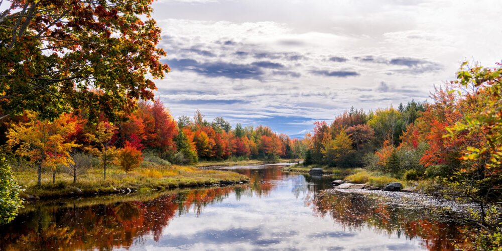 Autumn Fall Colors near Mt. Desert Narrows on Northeast Creek in Acadia National Park - Panorama