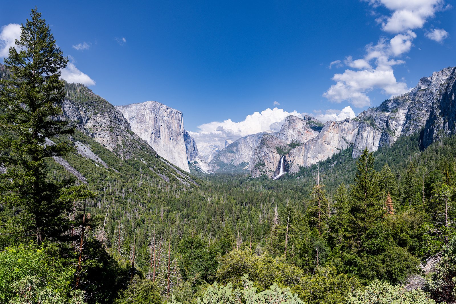 Tunnel View Point panorama highlights El Capitan, Bridalveil Fall and Half Dome in the forests, mountains, and waterfalls of Yosemite Valley