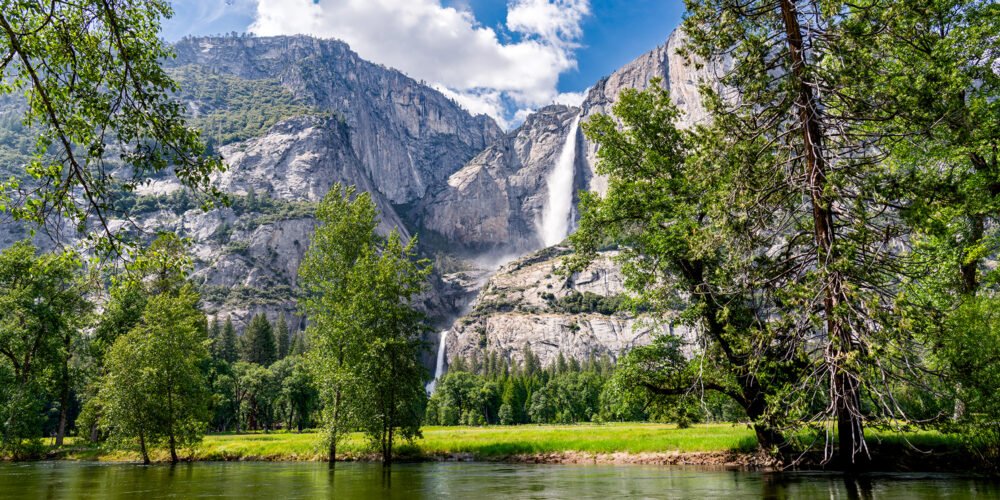 A Panoramic view of Yosemite Falls roaring with the Spring snowmelt in lush Yosemite Valley as viewed from the Merced River