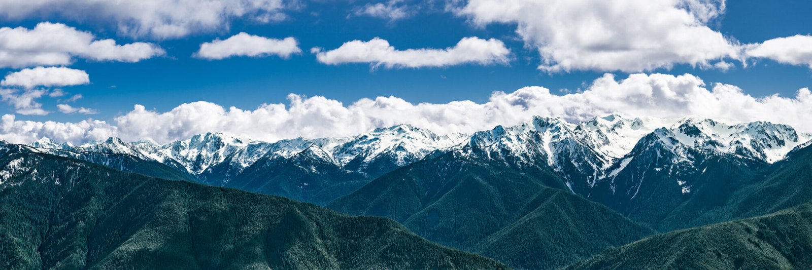 Panoramic view of the Olympic National Park mountains as viewed from Hurricane Ridge