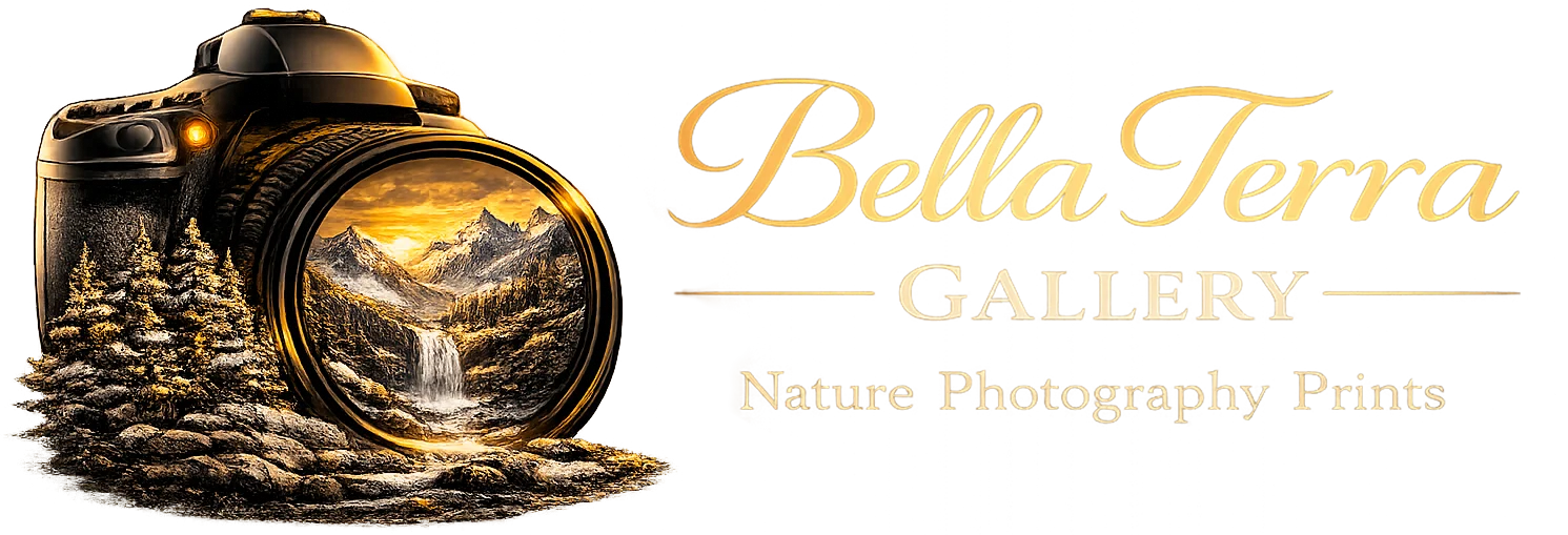 Bella Terra Gallery